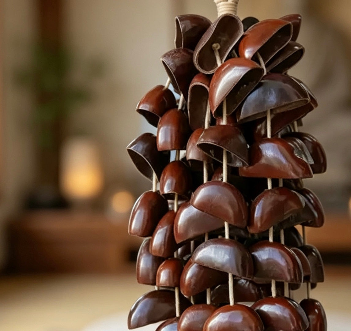 Close-up of gloss-finished Juju shell shakers in a warm Zen interior, highlighting the rich russet tones and elegant organic aesthetic for mindful home decor.