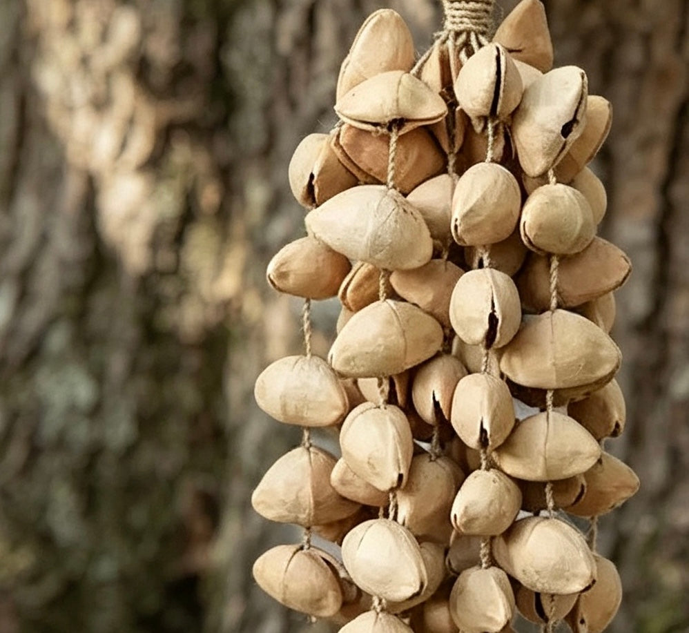 Vertical shot of a handcrafted chacha  shell wind chime against a blurred tree trunk background, showing the rhythmic arrangement and natural hemp rope knot