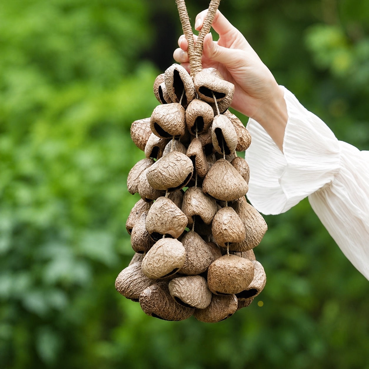 Handheld Panji shell wind chime against a lush green forest background, showcasing the raw earthy texture and natural brown tones of the seed shell percussion.